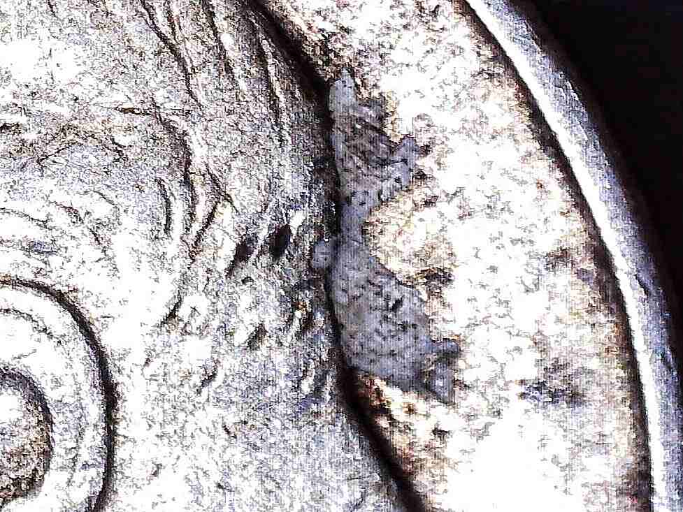 1951-P-Dime...unsure-If-Material-Is-PMD.